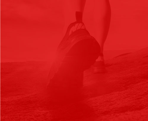 �|ݸ��ǧ�ȾW(w��ng)�j(lu��)�Ƽ����޹�˾